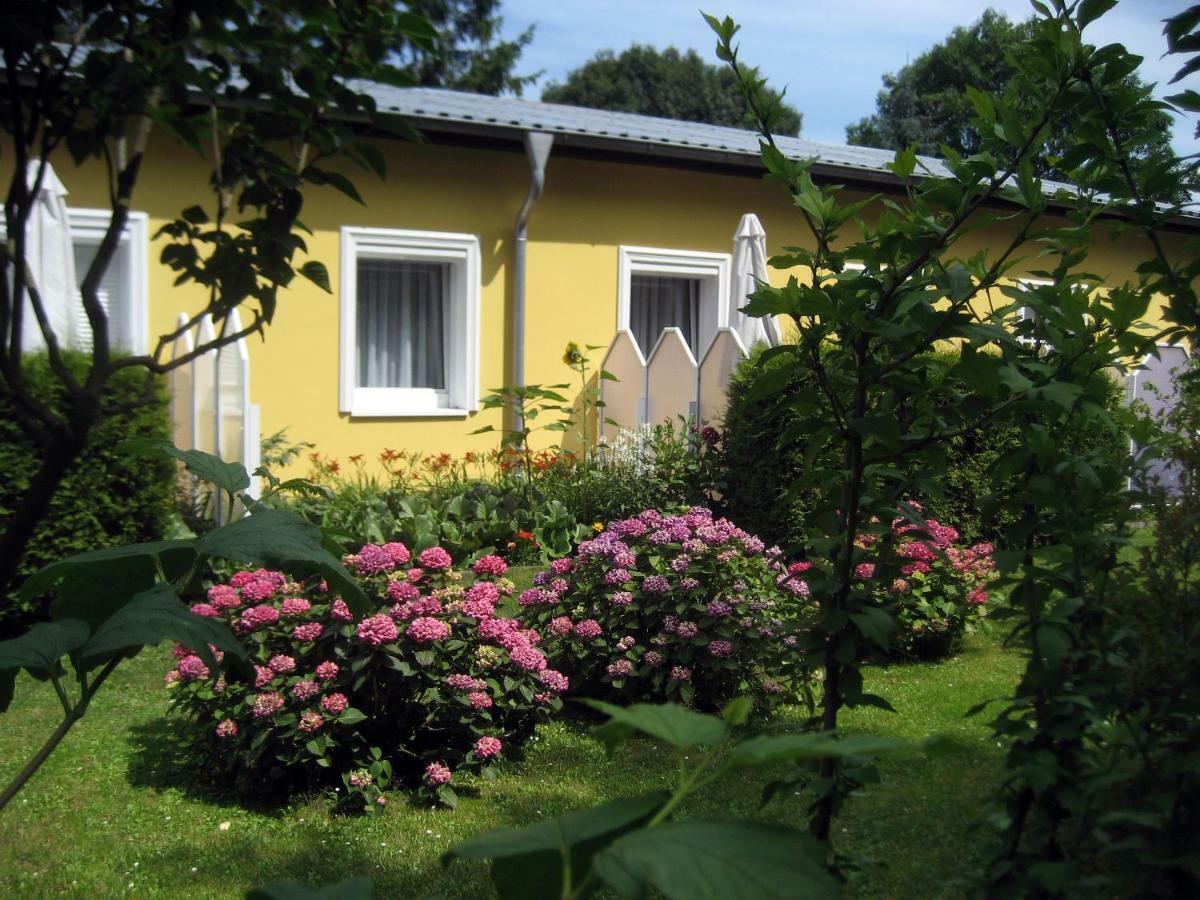 Haus Am Wald Διαμέρισμα Χέρινγκσντορφ Εξωτερικό φωτογραφία